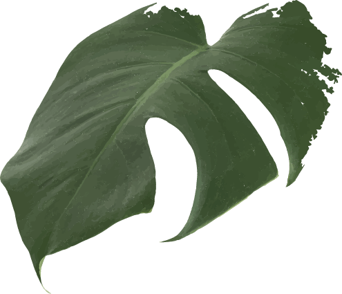 m11 leaf 1