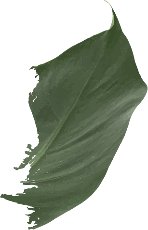 m11 leaf 2